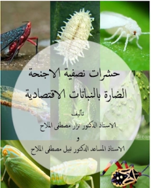 كتاب حشرات نصفية الأجنحة الضارة بالنباتات الاقتصادية لـ مجموعه مؤلفين